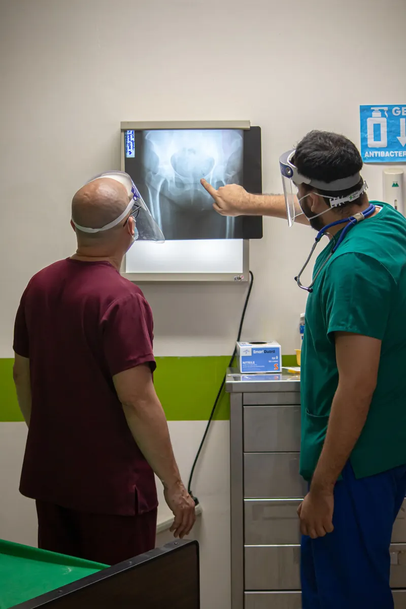 Doctors looking at an X-ray